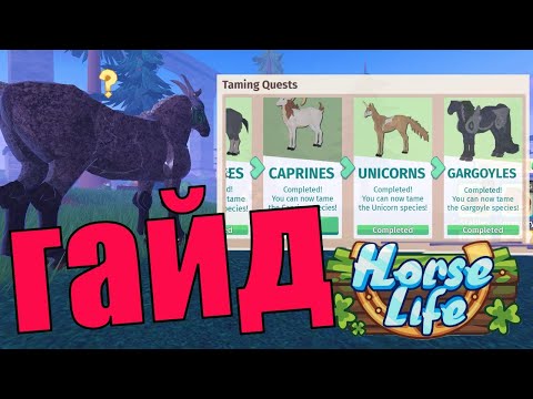 Полное Прохождение ВСЕХ Миссий Хорс Лайф / Horse Life roblox