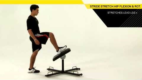 Stride Stretch Hip Flexion & Rotation