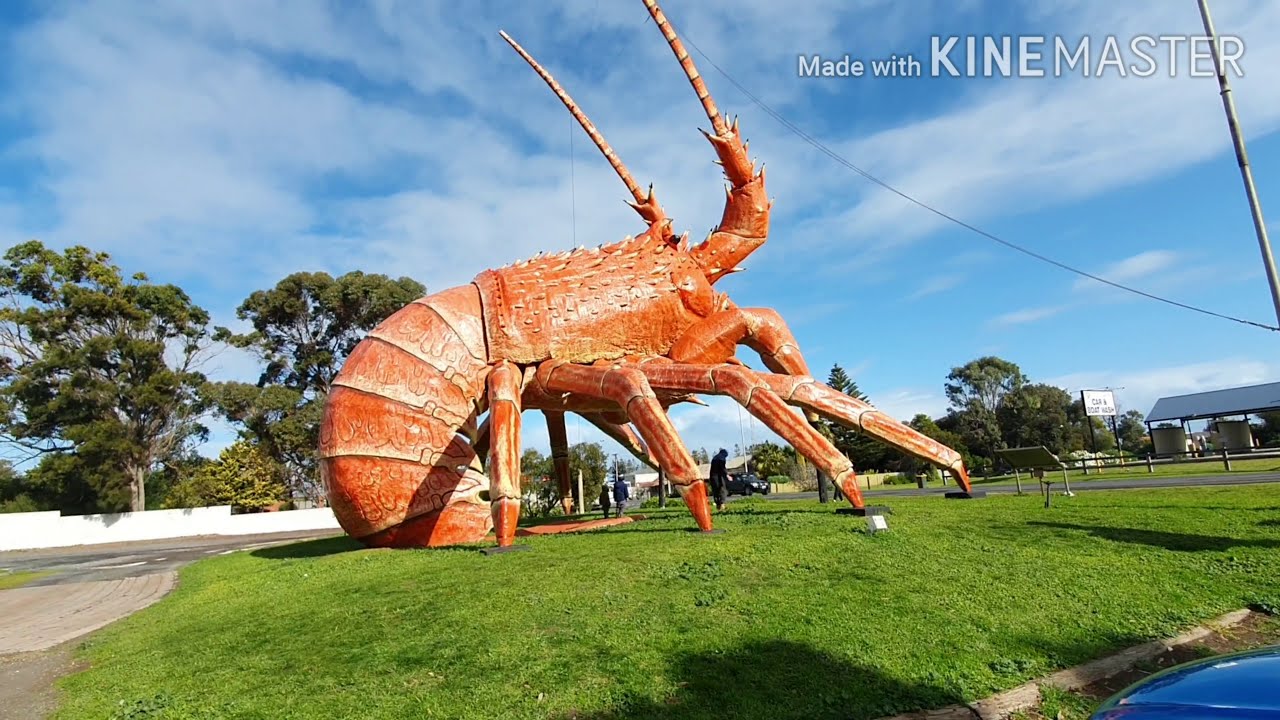 BIG LOBSTER AT KINGSTON SOUTH AUSTRALIA / YouTube BIG LOBSTER AT KINGSTON SOUTH AUSTRALIA / YouTube