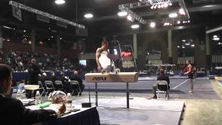 Michael Burns - Pommel Horse - 2013 Winter Cup Prelims