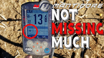 Minelab Manticore. metal detecting TINY hammered coins and Roman