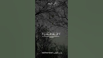 القارئ| عبد الرحمن مسعد| أرح سمعك وقلبك|#عبدالرحمن_مسعد