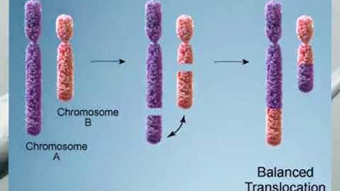Genetics/Inheritance Part 1 (Traditional Genetics)