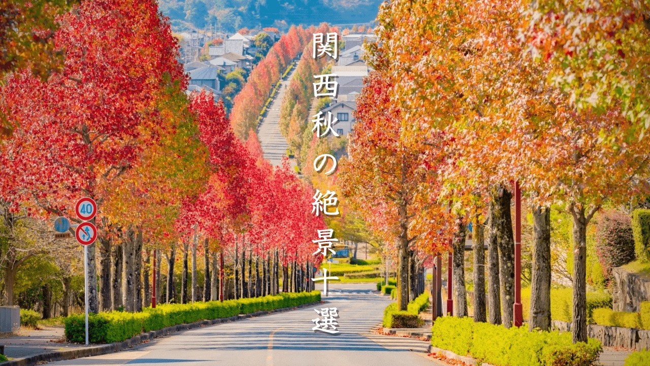 【関西】絶対に見るべき「秋の絶景１０選」