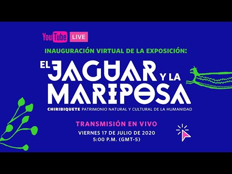 Inauguración virtual | Exposición temporal - El jaguar y la mariposa Inauguración virtual | Exposición temporal - El jaguar y la mariposa