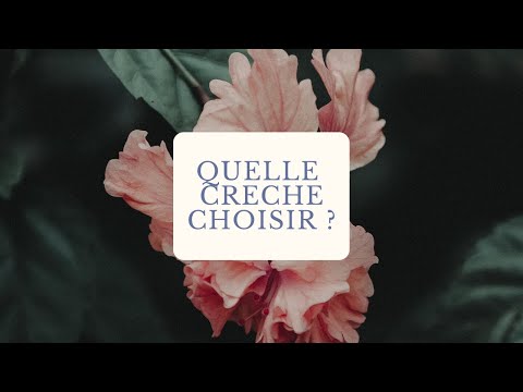 Quels types de crèches choisir pour votre enfant ? 1 Aperçu de la vidéo