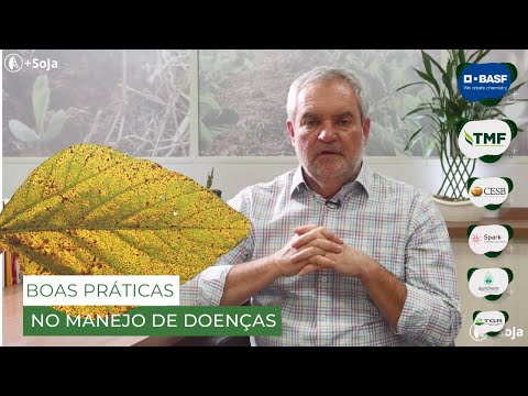Boas práticas de
