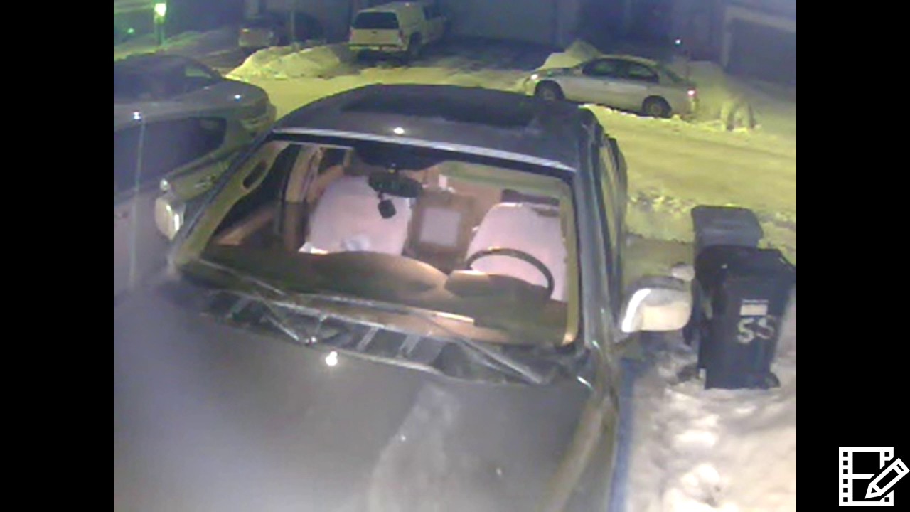 Car prowler caught on video .