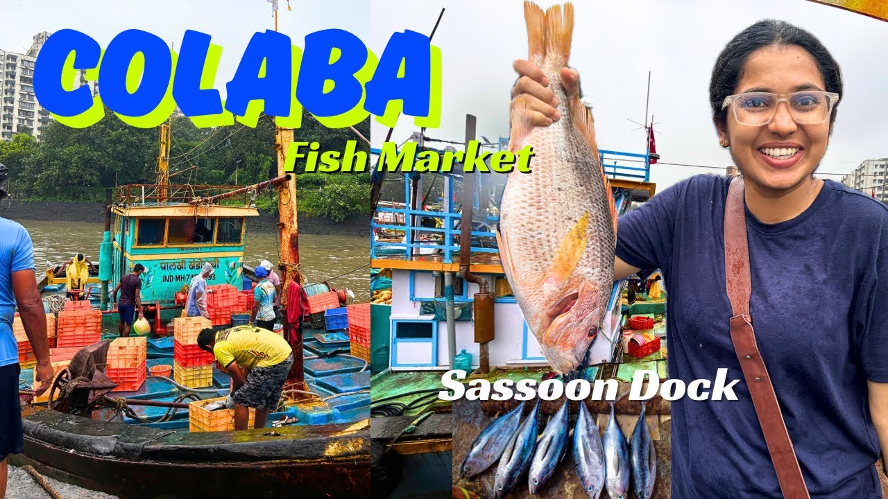 Mumbai Fish Market🐟 | Sassoon Dock Colaba🚦 #colabafishmarket #colaba 