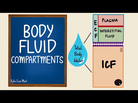 શારીરિક પ્રવાહી કમ્પાર્ટમેન્ટ્સ | ICF | ECF | સામાન્ય શરીરવિજ્ઞાન