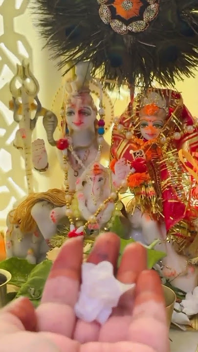Subah Subah Le Shiv Ka Naam🙏#sawansomwar #shivling #mahadevpuja #shorts #viral #ytshorts