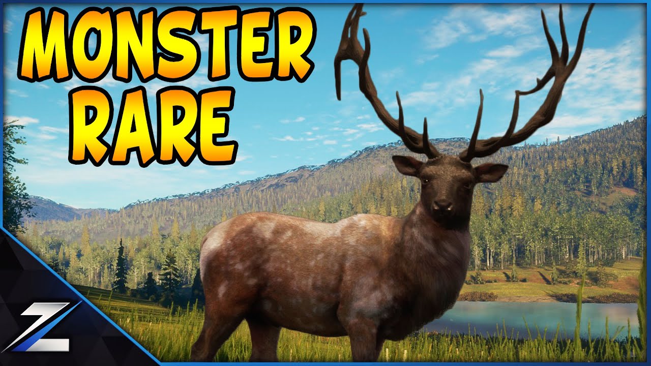 Rare Piebald MONSTER Rocky Mountain Elk YouTube