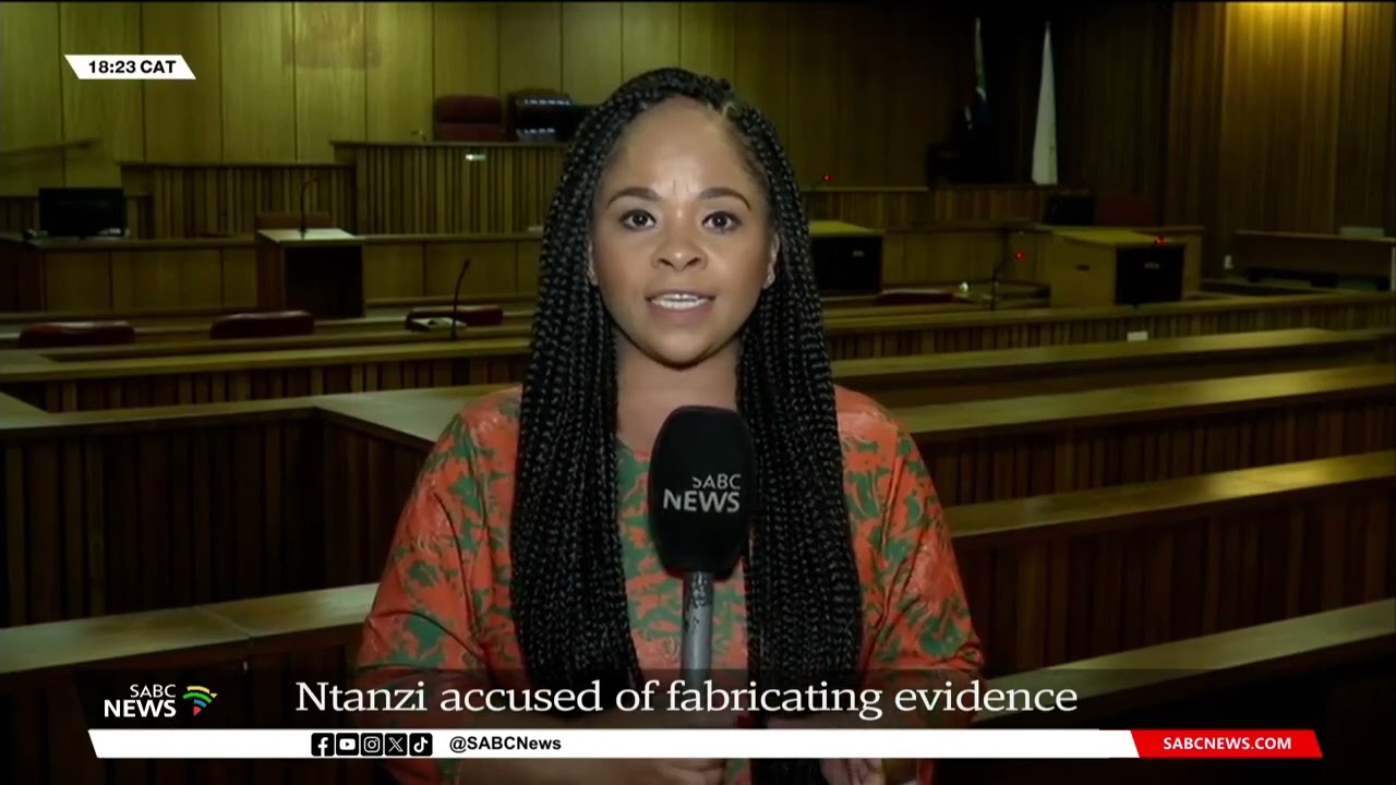 Senzo Meyiwa murder trial | Bongani Ntanzi accused of fabricating his evidence: Chriselda Lewis