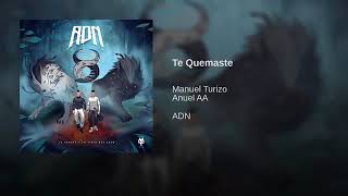 MTZ Manuel Turizo & Anuel AA - Te Quemaste