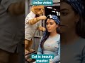 cat is beauty master#dj #music #beautysalon #aivideo #aivairalvideo#funnyvideo #reels #adventure #ai