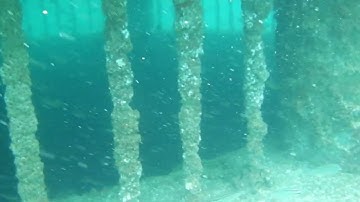 Seawater Intake Head Tower