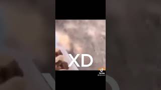 Te Compre Taquitos Hdtpm 3