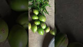 Pirar Ki Sabji Ki Recipe Video