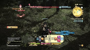 Final Fantasy XIV A Realm Reborn PS4 - Archer random gameplay 01