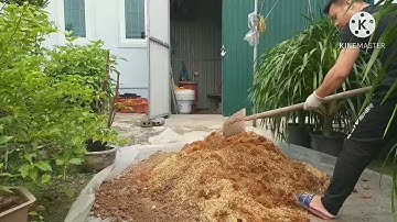 Hướng dẫn cách trộn đất trồng cây hoa ngọc thảo,dạ yến thảo