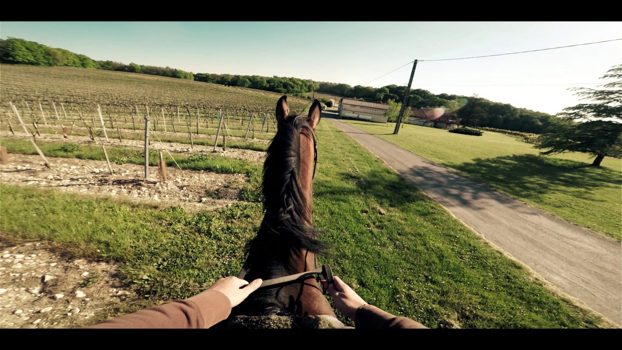KARMA GRIP HORSE RIDING GOPRO HERO 5 YouTube