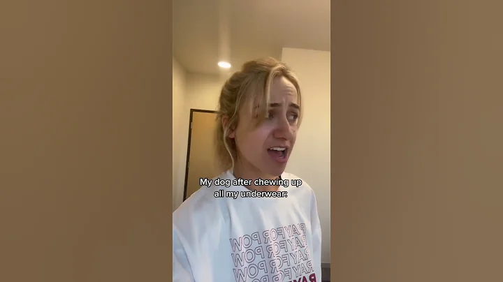 Well there goes another 3 pairs #siberianhusky #huskies #dogfriendly