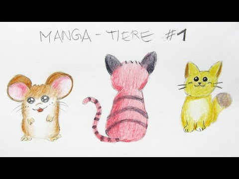 Comic Tiere Videos Mal Einfach Mit