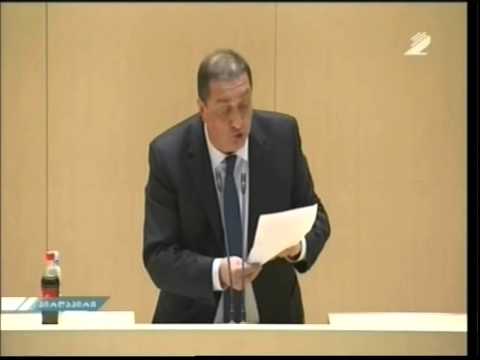 საგანელიძე ენერგეტიკაზე