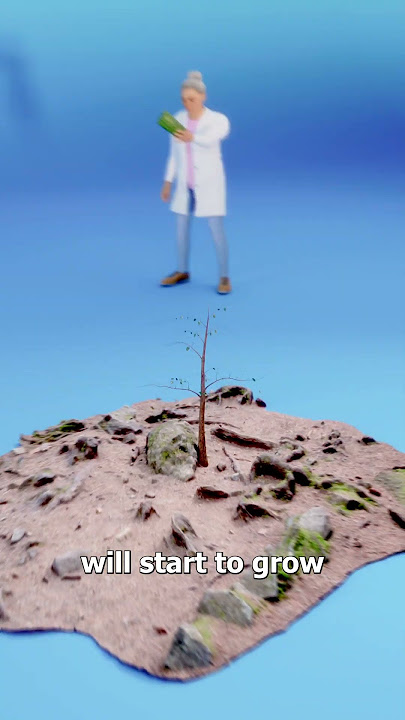 Making Money Grow On Trees 🤑