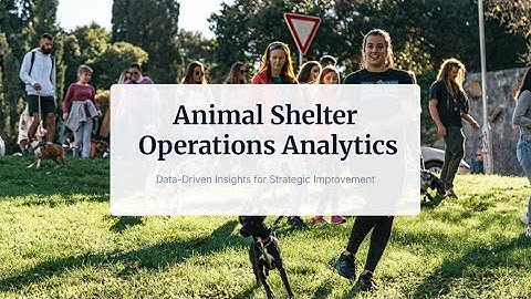 Animal Shelter Operations Analytics | Power BI Dashboard Walkthrough (Real-World Data)