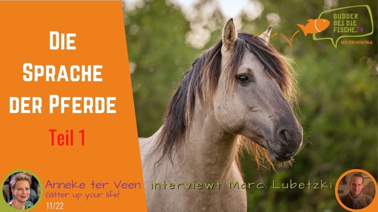 WILDPFERDE vs. HAUSPFERDE - Was tun wir unseren Pferden an? - INTERVIEW 1 mit Marc Lubetzki