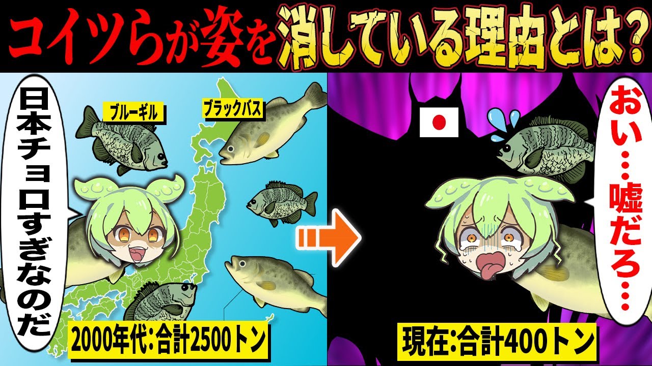 ブルーギル・ブラックバスが日本から姿を消している理由とは？【ずんだもん＆ゆっくり解説】