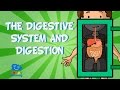 The Digestive System And Digestion Educational Video For Kids The Digestive System And Digestion Educational Video For Kids