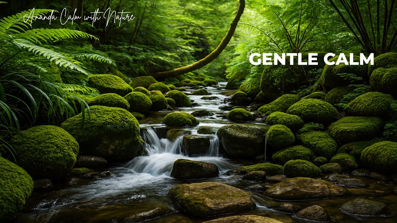 Night Routine Music with Hypnotic Classical Piano and Strings for Deep Sleep