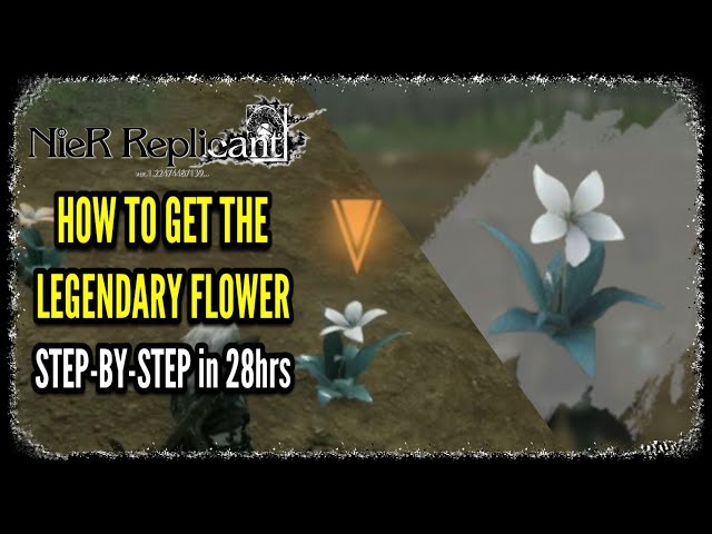 Nier: replicant] #50 tip: start early with the flowers : r/Trophies