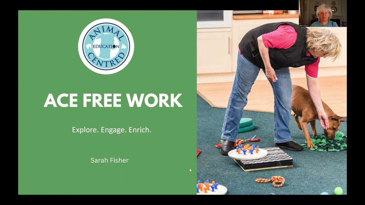 Sarah Fisher talks about ACE for dogs YouTube