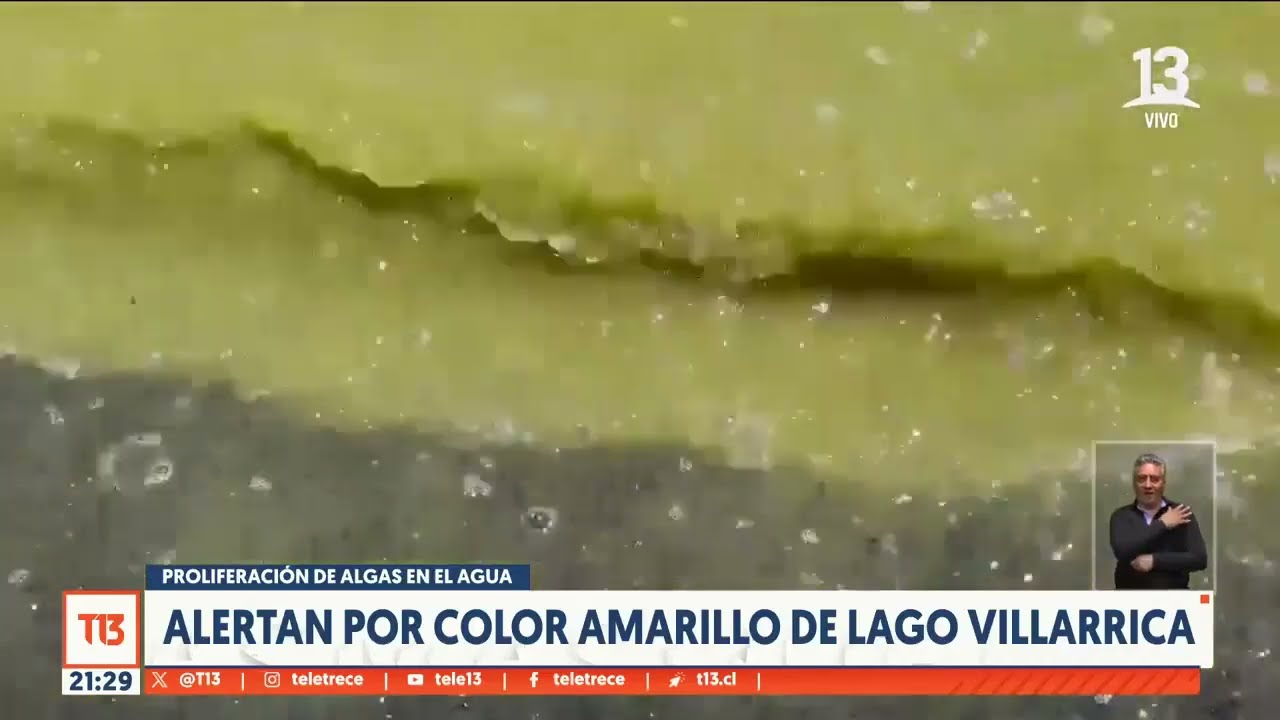 Alertan por color amarillo de Lago Villarrica