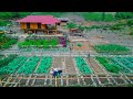 Ide planter des arbres et de lherbe pour construire une ferme verte incroyable jardin de viande