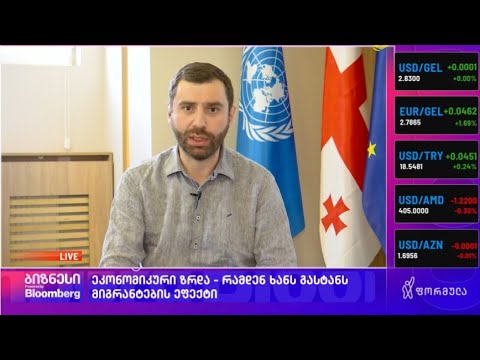 გიორგი აბაშიშვილის შეფასებები დაფიქსირებული ეკონომიკური ზრდისა და ე.წ. მიგრანტების ეფექტის შესახებ