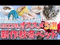 【猫用 2022年新作!! 秋冬ベッド】今年買うべき寒さ対策ベッド5選！