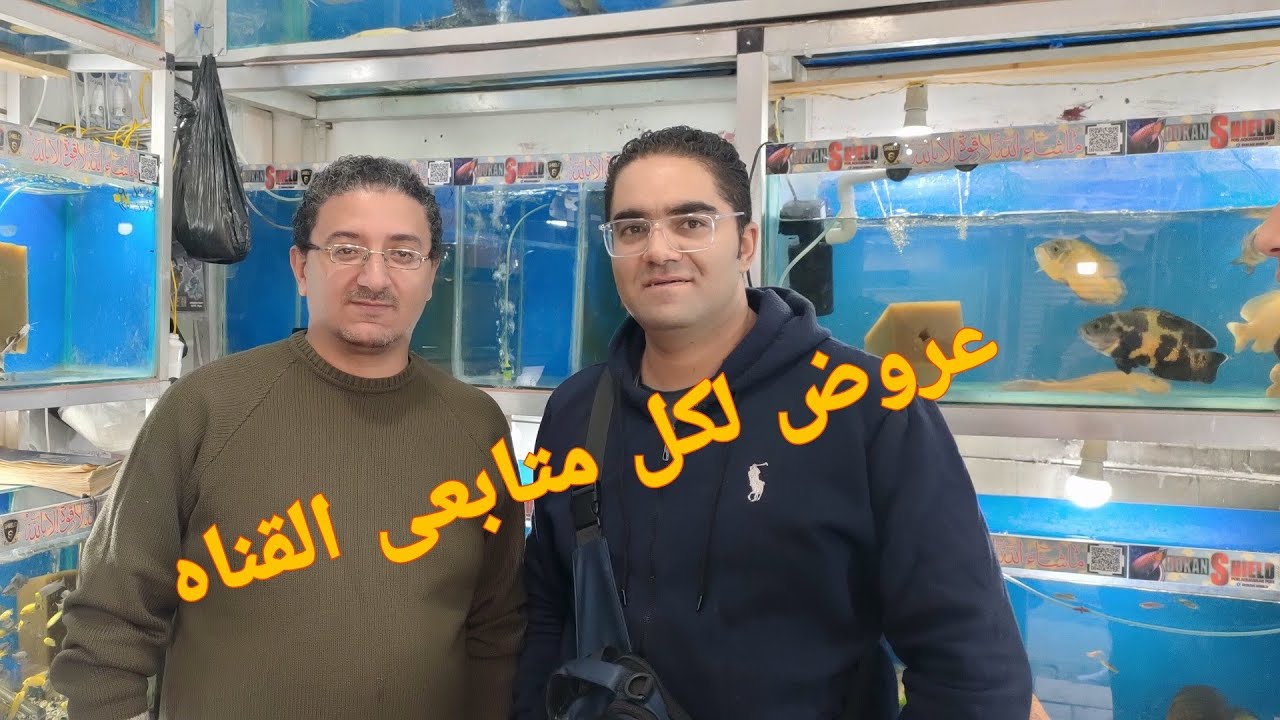 دكان شيلد سوق الجمعه بالسيدة عائشة (الجزء الأول )🧨جميع انواع اسماك الزينه 📢 🇪🇬🐠🐟🦈🐋☠️🧿🧿🧨