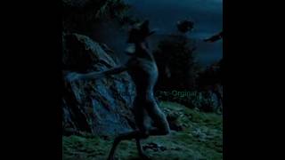Remus Lupin ~ Werewolf Edit #harrypotter #edit #remuslupin #videoviral #slytherin #gryffindor