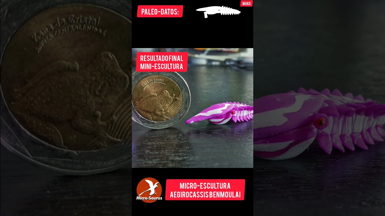 Micro-Escultura Aegirocassis benmoulae. 