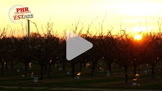 Lutter Contre Le Gel Des Tours Anti Gel Et Des Bougies À Sisheim