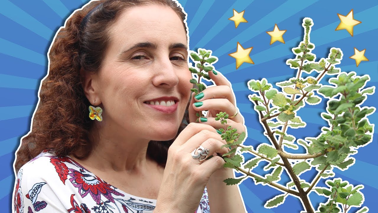 🌿✨ A MIRRA E SEUS PODERES! | Nô Figueiredo