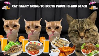 Cat Meme Family Vacation Compilation