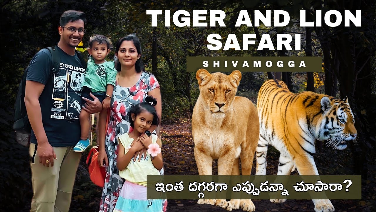 Tiger Safari | Lion Safari | Shivamogga Zoo & Safari | Shimoga Zoo | Tiger and Lion Safari in Telugu