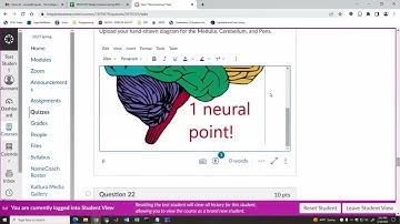 Embedding Images or Documents in a Canvas Quiz