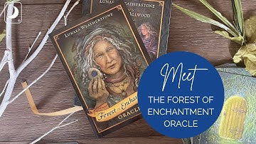 Flip Through the Cards of the Forest of Enchantment Oracle