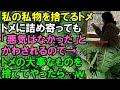 【スカッと】私の私物を捨てるトメ。トメに詰め寄っても「悪気はなかった」とかわされ続けるので→トメの大事にしてるものを捨ててやったら…ｗ（スカッと桜）